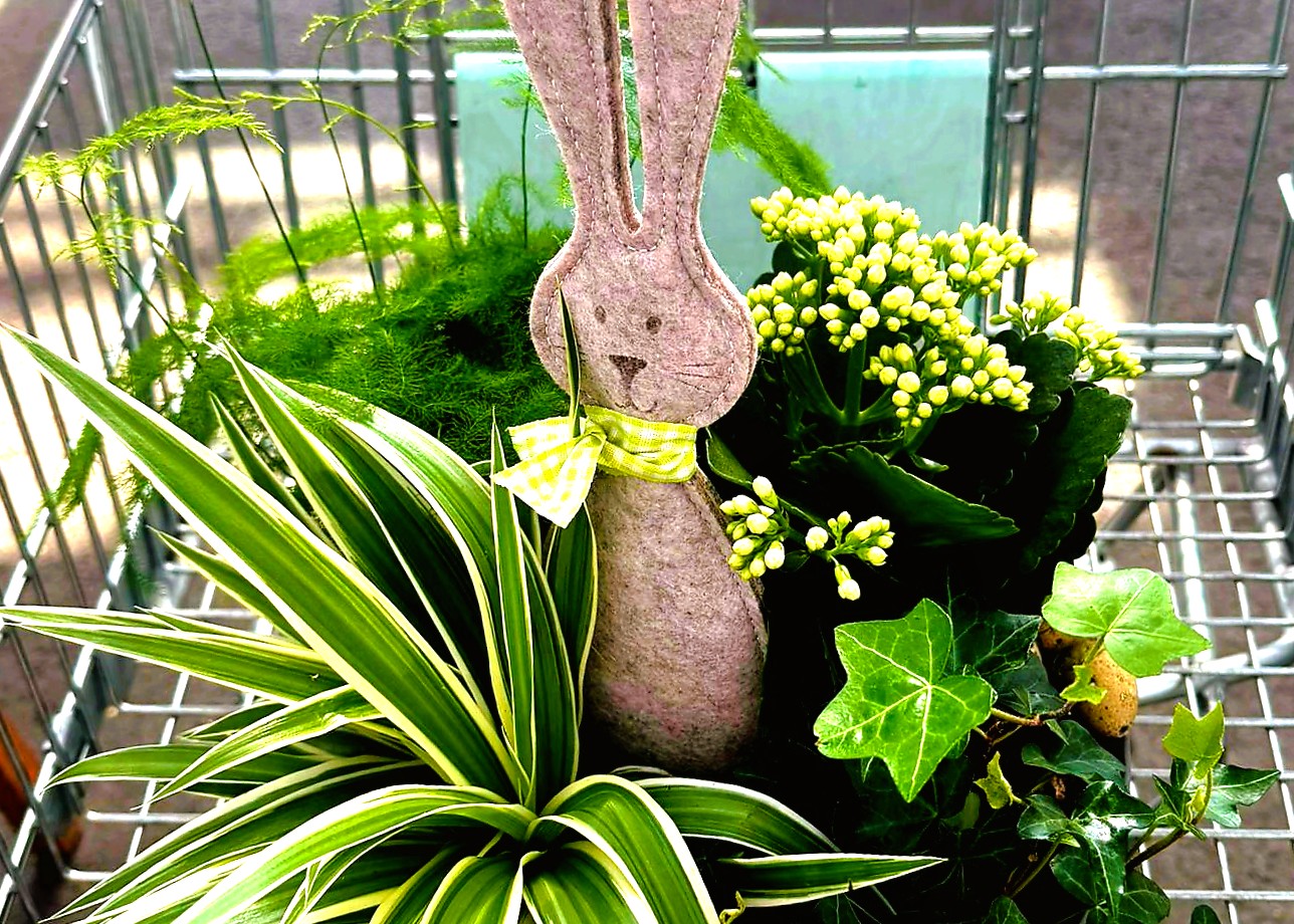 Monheimer Blumenmarkt